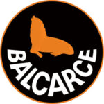 logo-12-balcarce